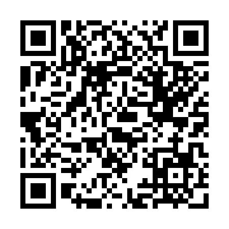 QR code for 3IN30