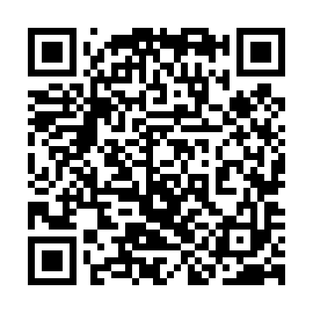 QR code for 3IN493
