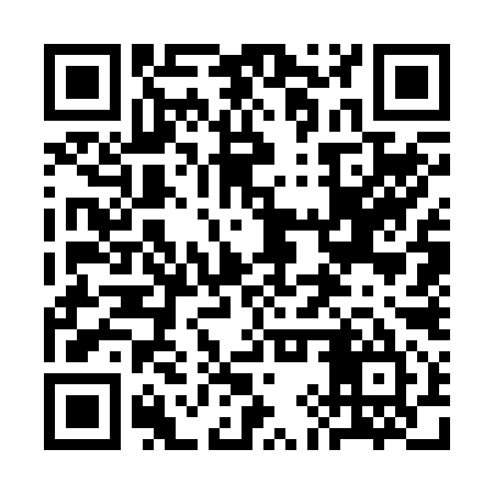 QR code for 3IW295