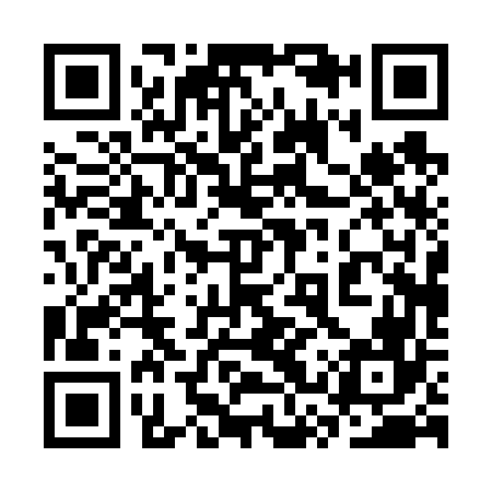 QR code for 3SP666