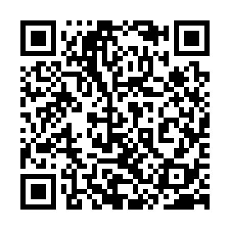 QR code for 3SS338