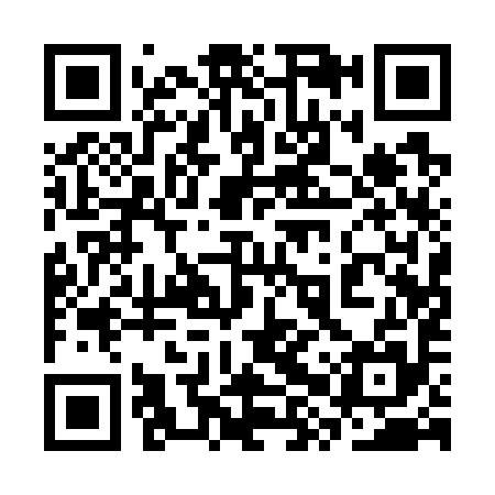 QR code for 3XQ795