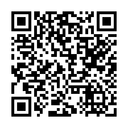 QR code for 3XS335