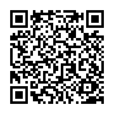 QR code for 411N