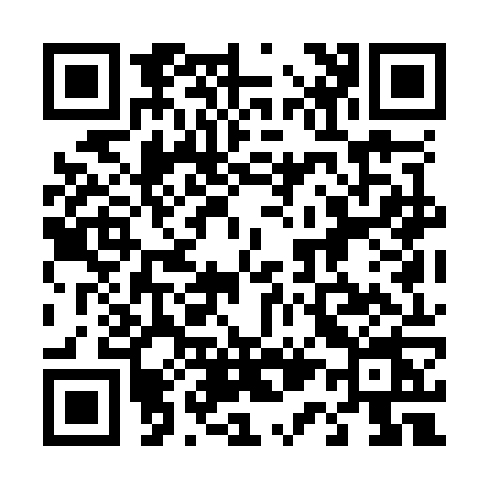 QR code for 411O