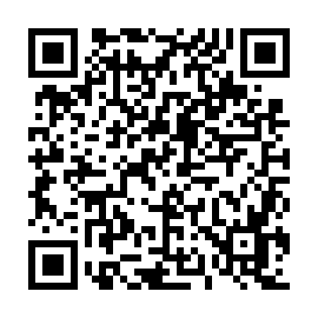 QR code for 411V