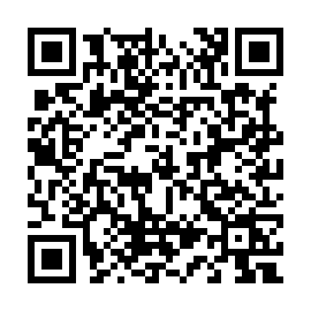 QR code for 411X