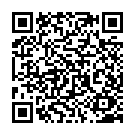 QR code for 411Z