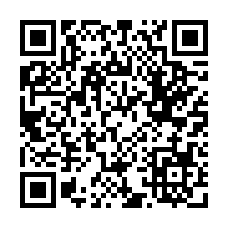 QR code for 4126P
