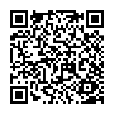 QR code for 412P