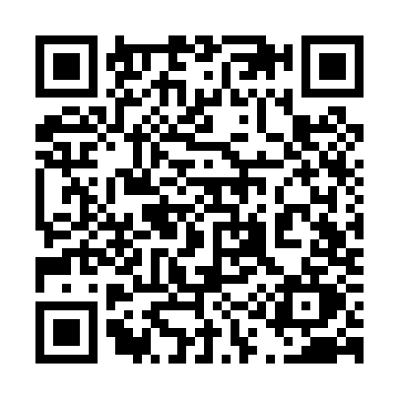 QR code for 413P