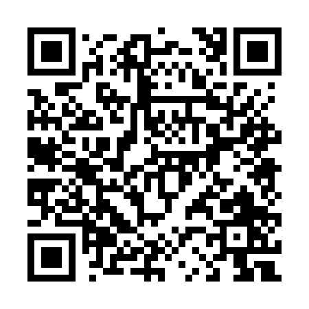 QR code for 4207P