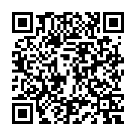 QR code for 4393