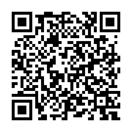 QR code for 4493