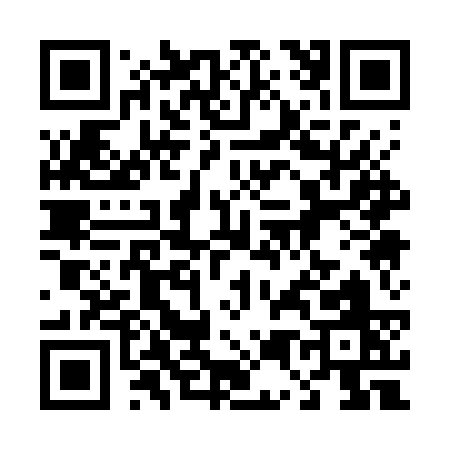 QR code for 4517S
