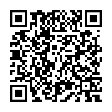 QR code for 4593