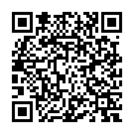 QR code for 463P