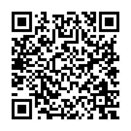 QR code for 46593