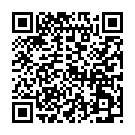 QR code for 46855