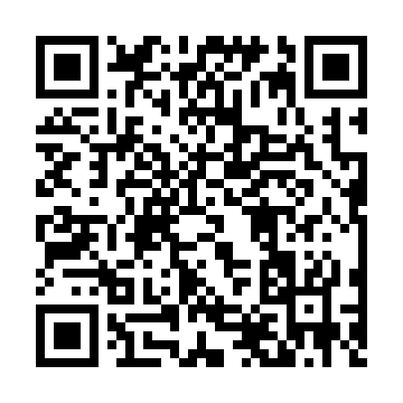 QR code for 48333