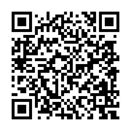 QR code for 48809