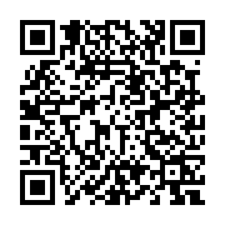 QR code for 493P