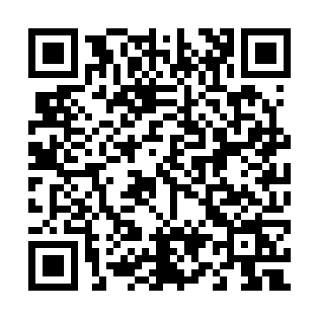 QR code for 493R