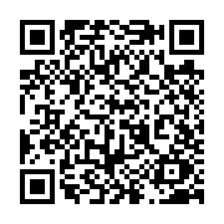 QR code for 493V