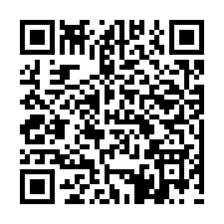 QR code for 4DS33
