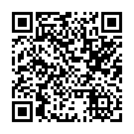 QR code for 4DX256