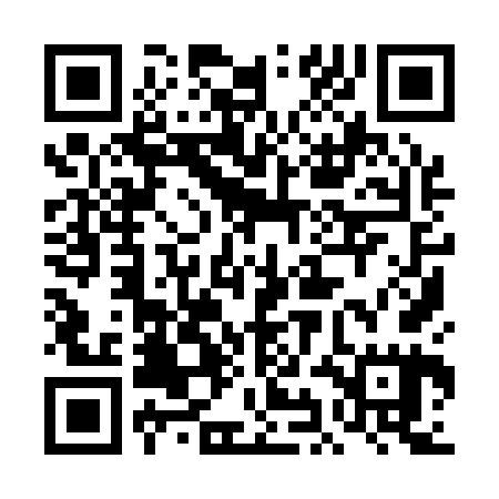 QR code for 4II165