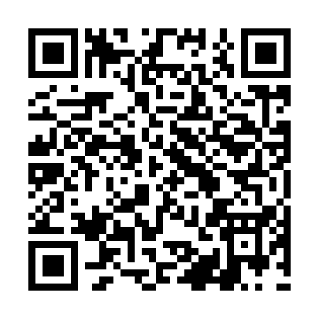 QR code for 4IN91
