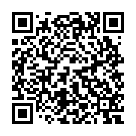 QR code for 4MG313