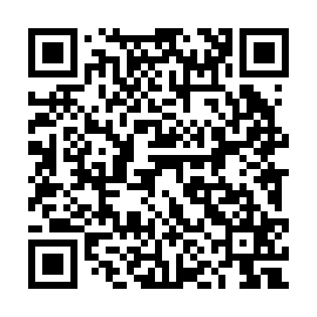 QR code for 4NL225