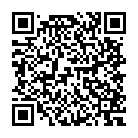 QR code for 4NM541
