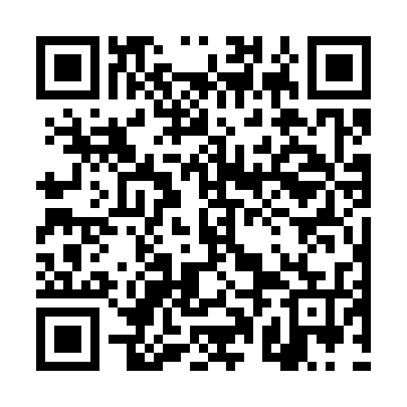 QR code for 4PG335