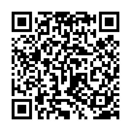 QR code for 4PG421
