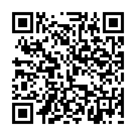 QR code for 4PI335