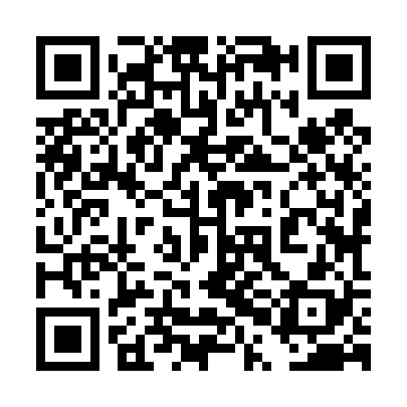 QR code for 4PJ428