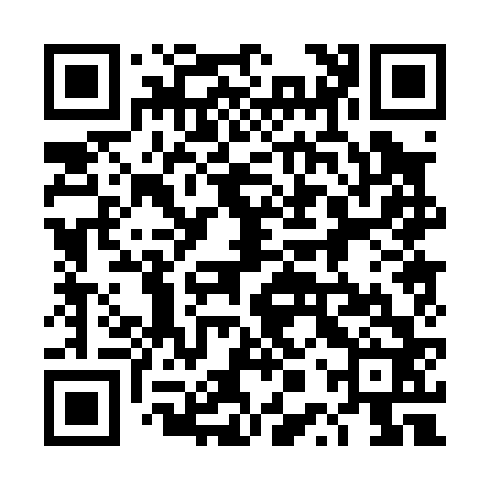 QR code for 4PP062