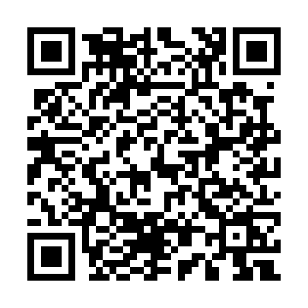 QR code for 501P