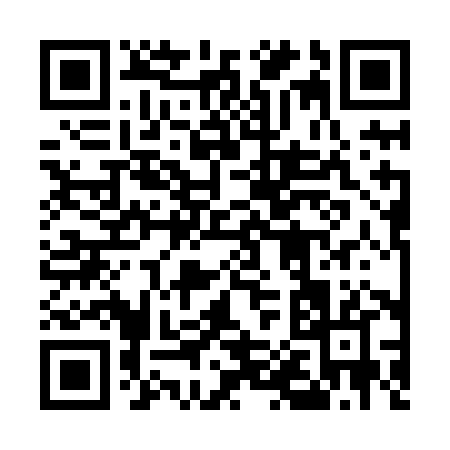 QR code for 5038H
