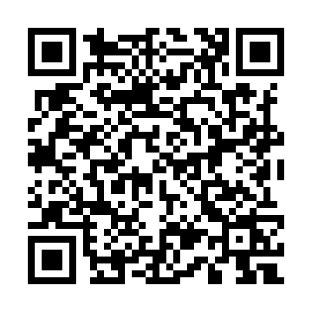 QR code for 519I