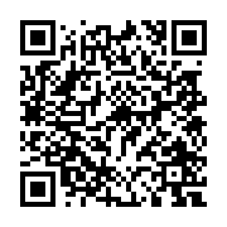 QR code for 52300