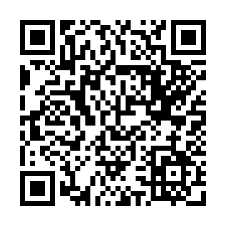 QR code for 53333