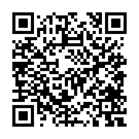QR code for 5386L