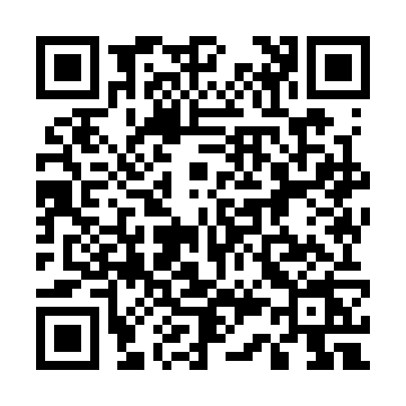 QR code for 5393