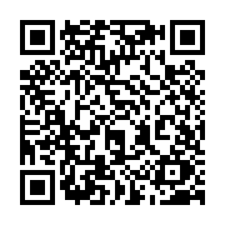 QR code for 539P