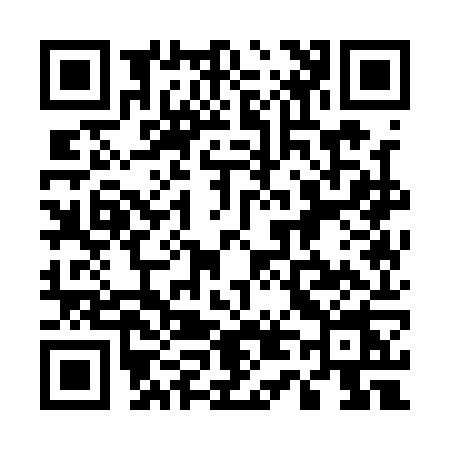 QR code for 5411