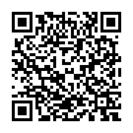 QR code for 541D